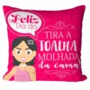Almofada Mãe Tira A Toalha Molhada V01