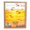 Quadro Coleção De Tampas Plano De Carreira