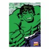 Quadro Decorativo Hulk Quadrinhos
