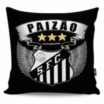 Almofada Paizão Santos Asas