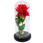 Luminária Rosa Encantada A Bela E A Fera 24x12cm