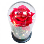Luminária Rosa Encantada A Bela E A Fera 24x12cm