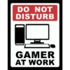 Placa Decorativa Gamer At Work Pc 197